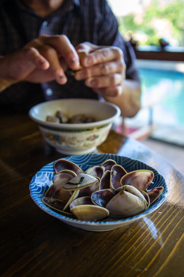 Foraging for cockles + 4 cockle recipes