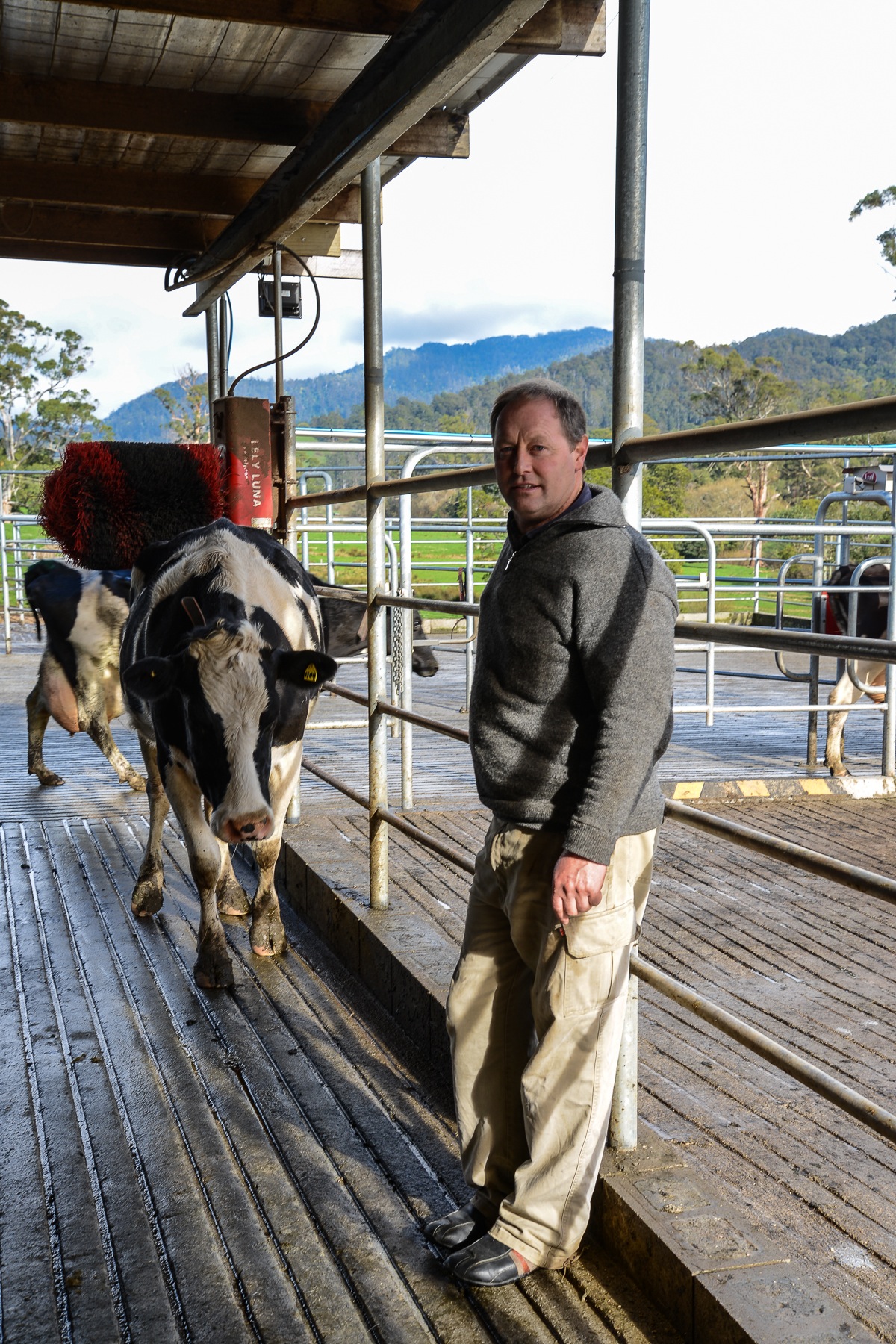 John Healey, Pyengana Dairy Farm