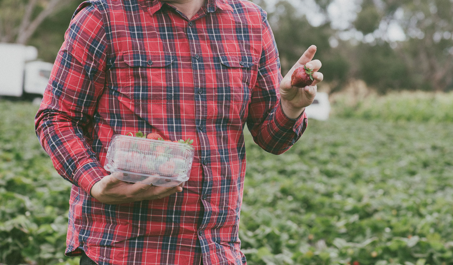 Strawberry_Picking_Strawberry_Mousse.ChristinaSoong-3