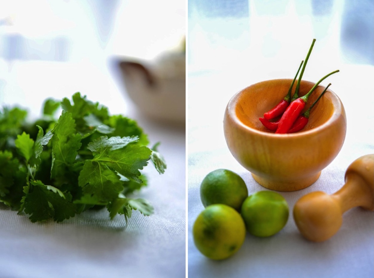 coriander and chilli