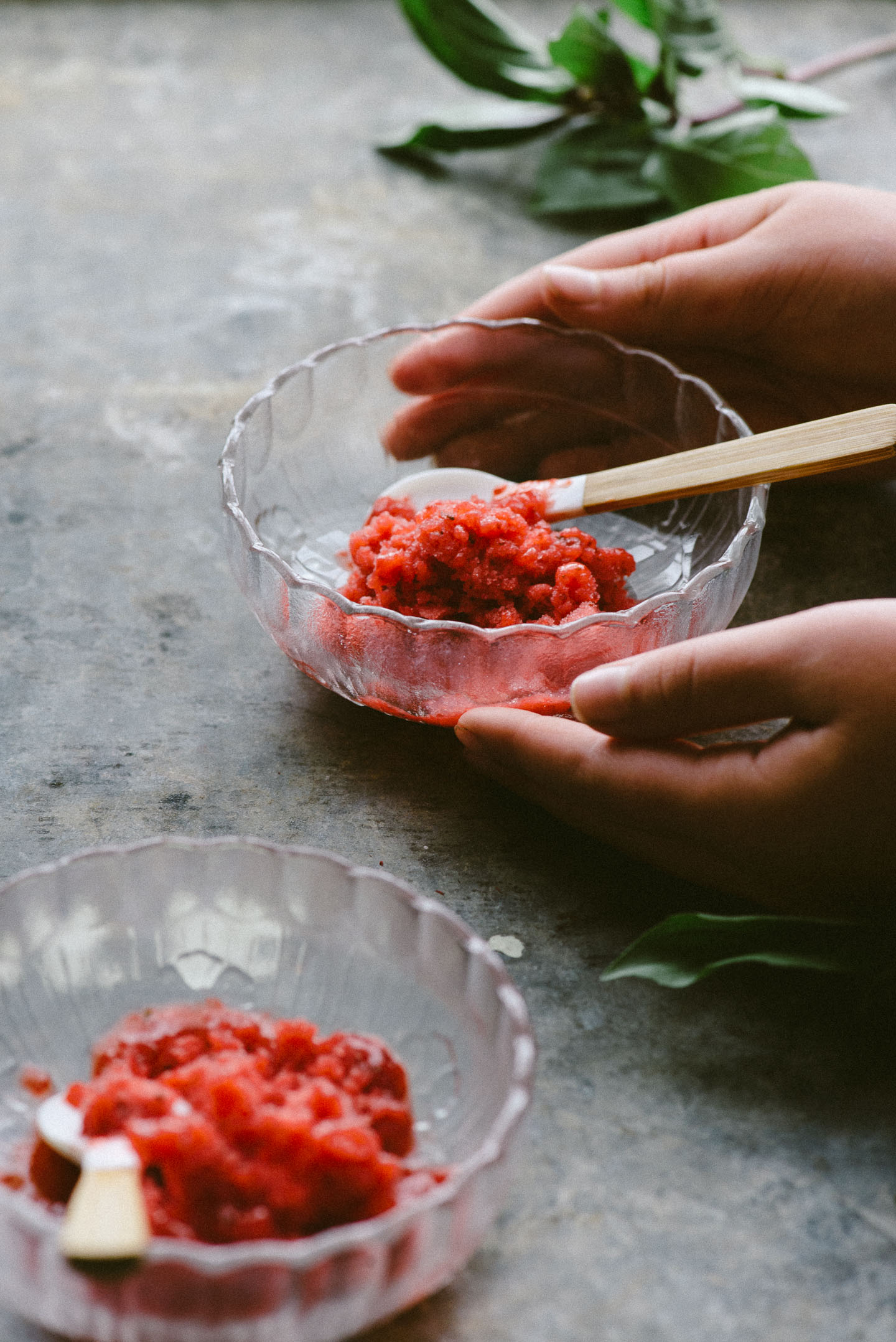 Strawberry_Basil_Granita_Christina_Soong-5