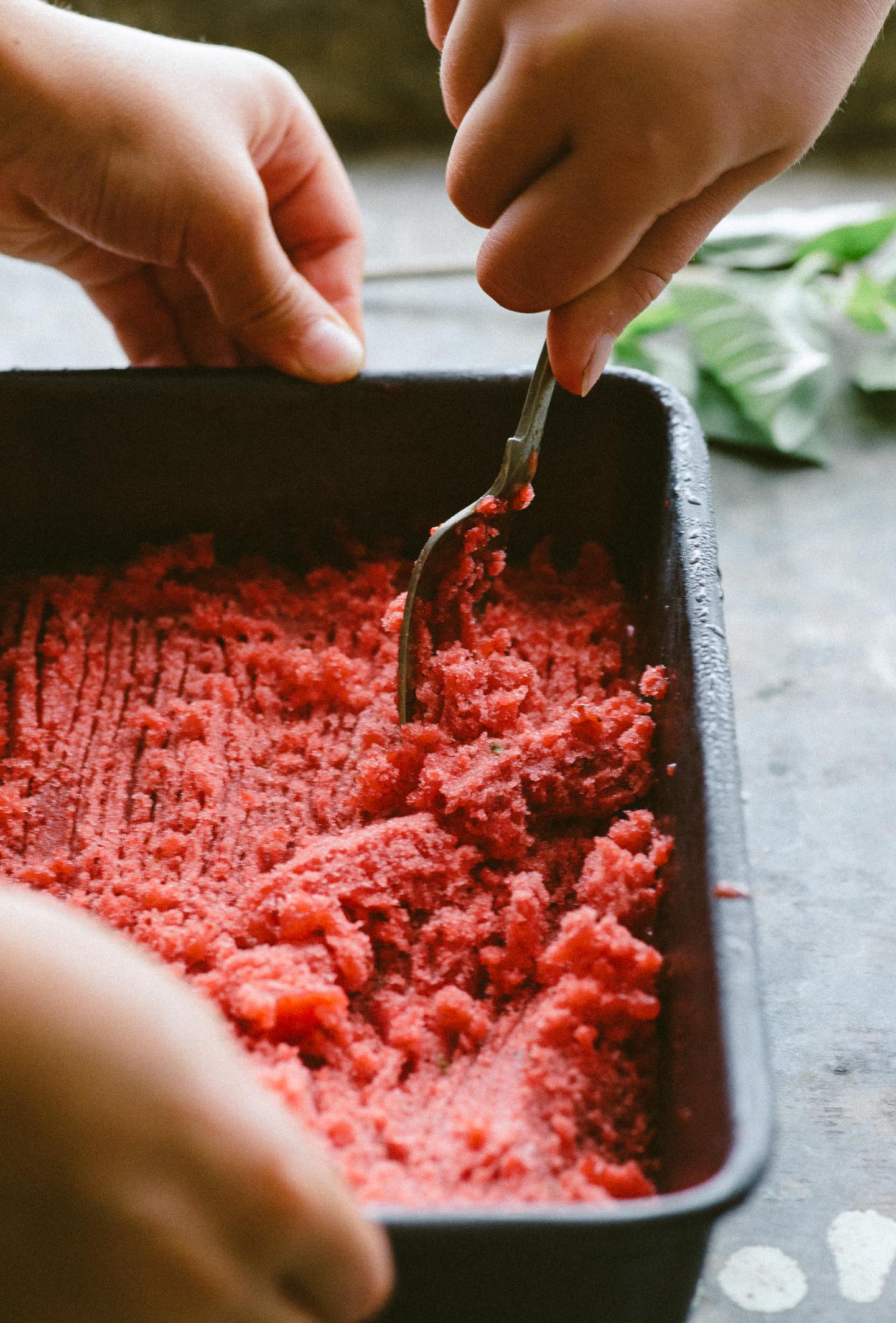 Strawberry_Basil_Granita_Christina_Soong-6