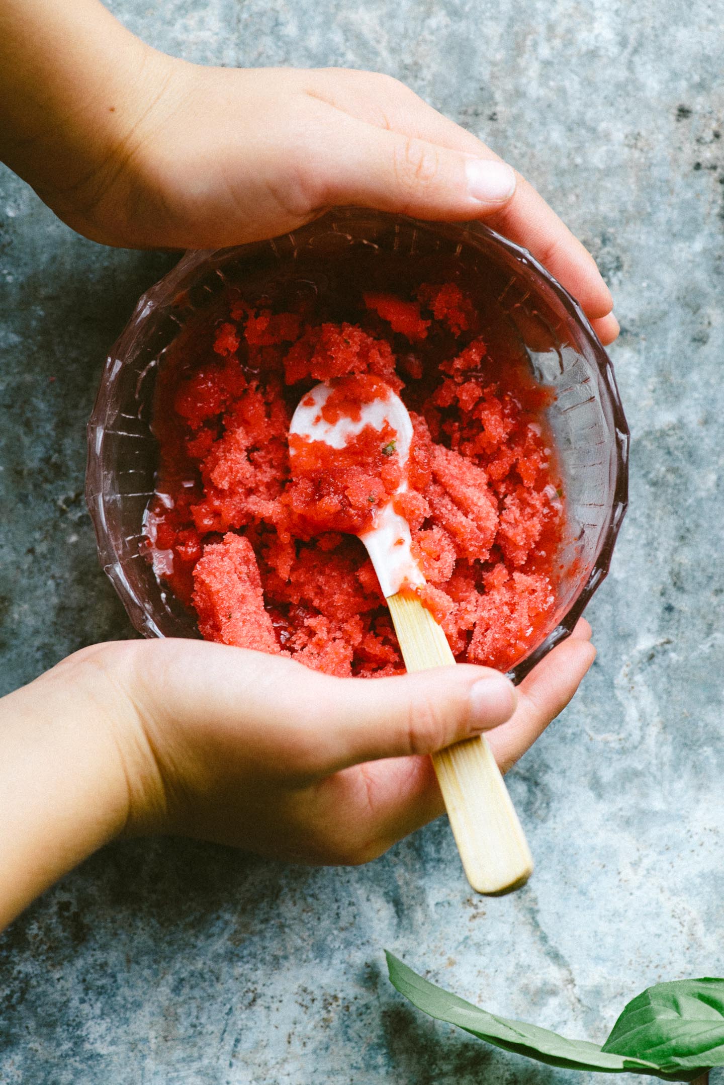 Strawberry_Basil_Granita_Christina_Soong-7